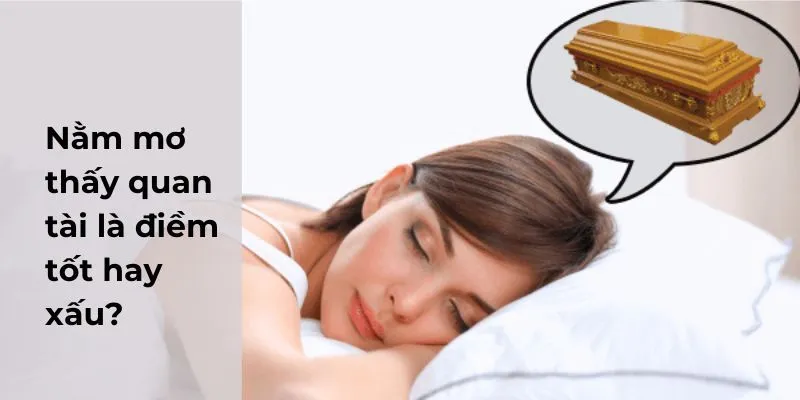 Một số diễn giải cho từng trường hợp mà bạn có thể gặp phải khi mơ