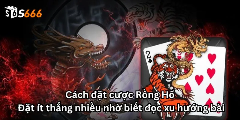 Cách đặt cược Rồng Hổ: Đặt ít thắng nhiều nhờ biết đọc xu hướng bài